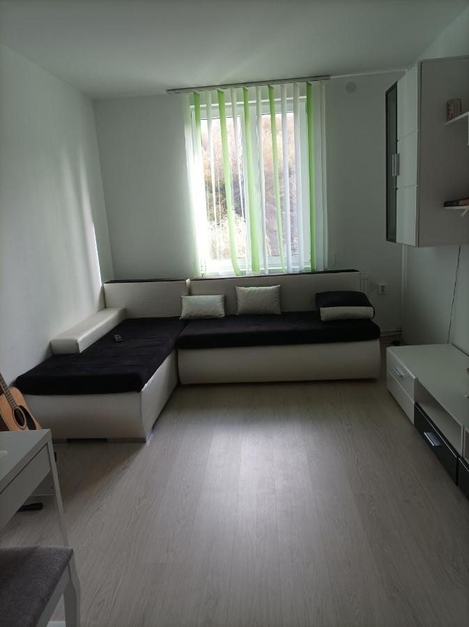 Apartament Doua Camere Uricani  Zewnętrze zdjęcie