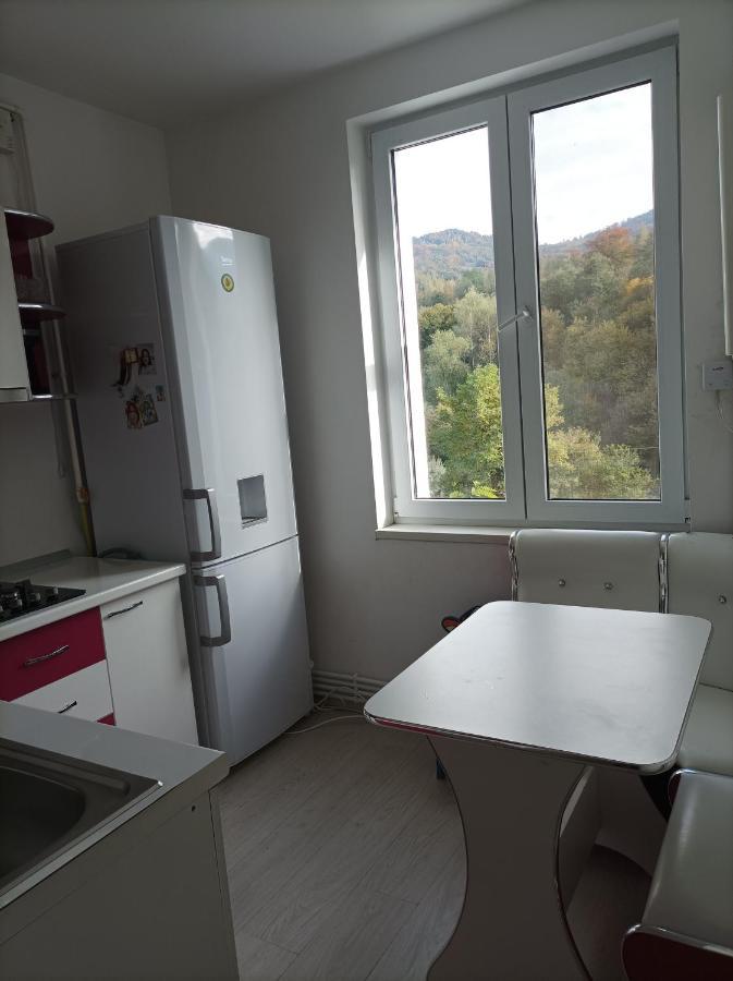 Apartament Doua Camere Uricani  Zewnętrze zdjęcie